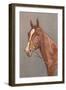 Brown Horse-null-Framed Art Print