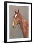 Brown Horse-null-Framed Art Print