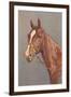 Brown Horse-null-Framed Art Print