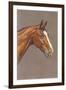 Brown Horse-null-Framed Art Print