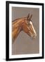 Brown Horse-null-Framed Art Print