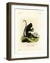 Brown Howler-null-Framed Giclee Print