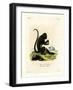 Brown Howler-null-Framed Giclee Print