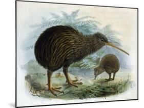 Brown Kiwi-null-Mounted Art Print