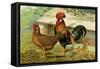 Brown Leghorns-null-Framed Stretched Canvas