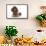 Brown Miniature Poodle Lying Down-null-Framed Stretched Canvas displayed on a wall