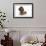 Brown Miniature Poodle Lying Down-null-Framed Photographic Print displayed on a wall