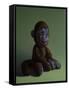 Brown Monkey on Green, 2016,-Peter Jones-Framed Stretched Canvas