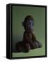Brown Monkey on Green, 2016,-Peter Jones-Framed Stretched Canvas
