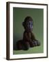 Brown Monkey on Green, 2016,-Peter Jones-Framed Giclee Print