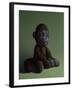 Brown Monkey on Green, 2016,-Peter Jones-Framed Giclee Print