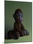 Brown Monkey on Green, 2016,-Peter Jones-Mounted Giclee Print
