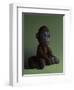 Brown Monkey on Green, 2016,-Peter Jones-Framed Giclee Print