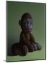 Brown Monkey on Green, 2016,-Peter Jones-Mounted Giclee Print