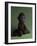 Brown Monkey on Green, 2016,-Peter Jones-Framed Giclee Print