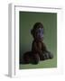 Brown Monkey on Green, 2016,-Peter Jones-Framed Giclee Print