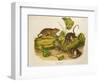 Brown, or Norway Rat, Engraved by John T. Bowen (1801-C.56) Published 1845-John James Audubon-Framed Giclee Print