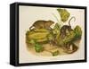 Brown, or Norway Rat, Engraved by John T. Bowen (1801-C.56) Published 1845-John James Audubon-Framed Stretched Canvas