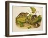 Brown, or Norway Rat, Engraved by John T. Bowen (1801-C.56) Published 1845-John James Audubon-Framed Giclee Print