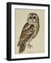 Brown Owl (Strix Ulula)-Rev. C. Atkinson-Framed Giclee Print