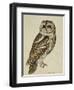 Brown Owl (Strix Ulula)-Rev. C. Atkinson-Framed Giclee Print