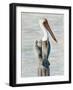 Brown Pelican 1-Stellar Design Studio-Framed Art Print