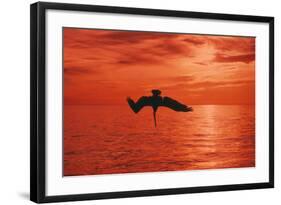 Brown Pelican Diving for Fish, Sunset-null-Framed Photographic Print