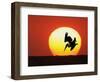 Brown Pelican Diving in Front of Setting Sun-Arthur Morris-Framed Photographic Print