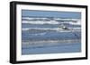 Brown Pelican flying, New Smyrna Beach, Florida, Usa-Lisa S^ Engelbrecht-Framed Photographic Print