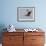 Brown Pelican (Pelecanus Occidentalis) in Flight in Partial Breeding Plumage, Salton Sea, CA-James Hager-Framed Photographic Print displayed on a wall