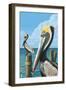 Brown Pelican-Lantern Press-Framed Art Print