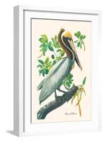 Brown Pelican-John James Audubon-Framed Art Print