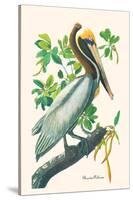 Brown Pelican-John James Audubon-Stretched Canvas