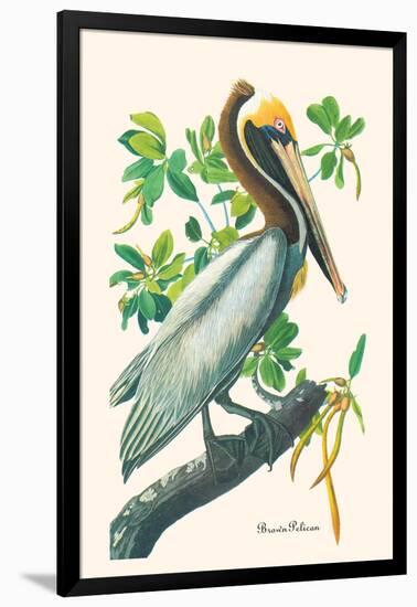 Brown Pelican-John James Audubon-Framed Art Print