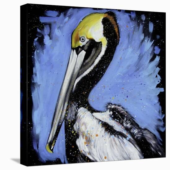 Brown Pelican-null-Stretched Canvas