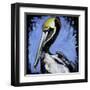 Brown Pelican-null-Framed Art Print