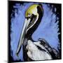 Brown Pelican-null-Mounted Art Print