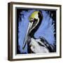 Brown Pelican-null-Framed Art Print