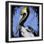 Brown Pelican-null-Framed Art Print