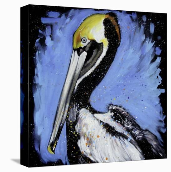 Brown Pelican-null-Stretched Canvas