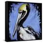 Brown Pelican-null-Framed Stretched Canvas