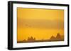 Brown Pelicans and Sea Stacks, Rialto Beach-null-Framed Photographic Print