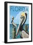 Brown Pelicans - Florida, c.2008-Lantern Press-Framed Art Print