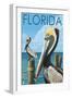 Brown Pelicans - Florida, c.2008-Lantern Press-Framed Art Print