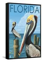 Brown Pelicans - Florida, c.2008-Lantern Press-Framed Stretched Canvas