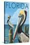 Brown Pelicans - Florida, c.2008-Lantern Press-Stretched Canvas