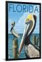 Brown Pelicans - Florida, c.2008-Lantern Press-Framed Art Print