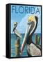 Brown Pelicans - Florida, c.2008-Lantern Press-Framed Stretched Canvas