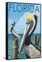 Brown Pelicans - Florida, c.2008-Lantern Press-Framed Stretched Canvas