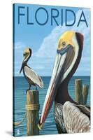 Brown Pelicans - Florida, c.2008-Lantern Press-Stretched Canvas